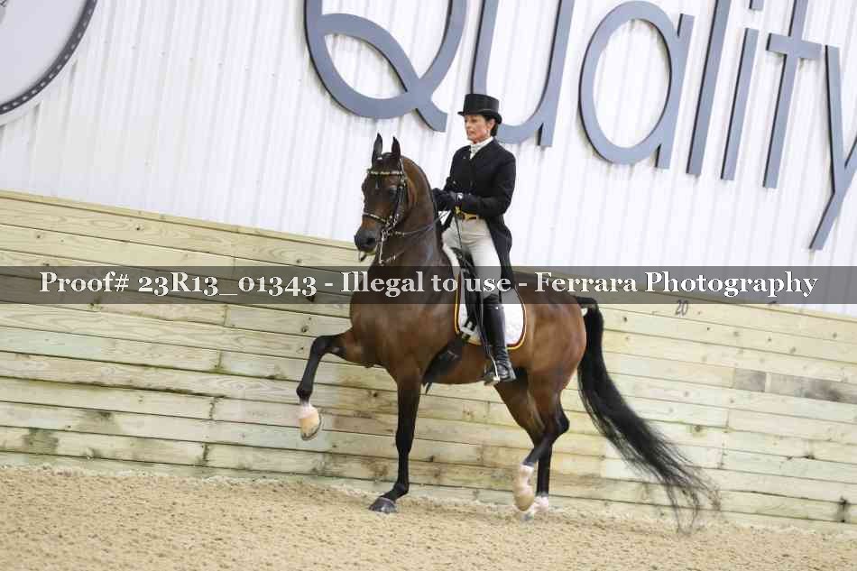 Proof 23R13_01343