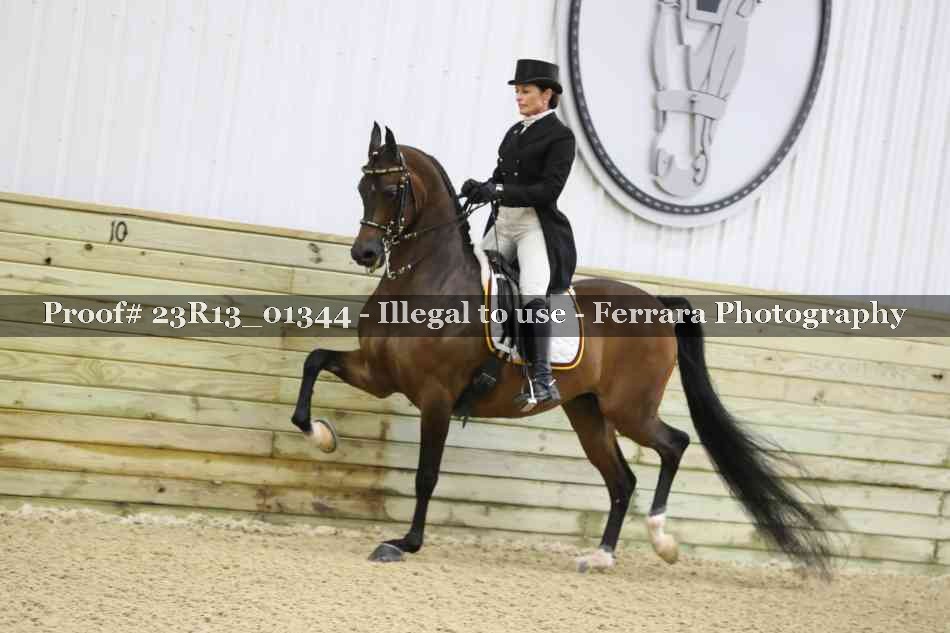 Proof 23R13_01344