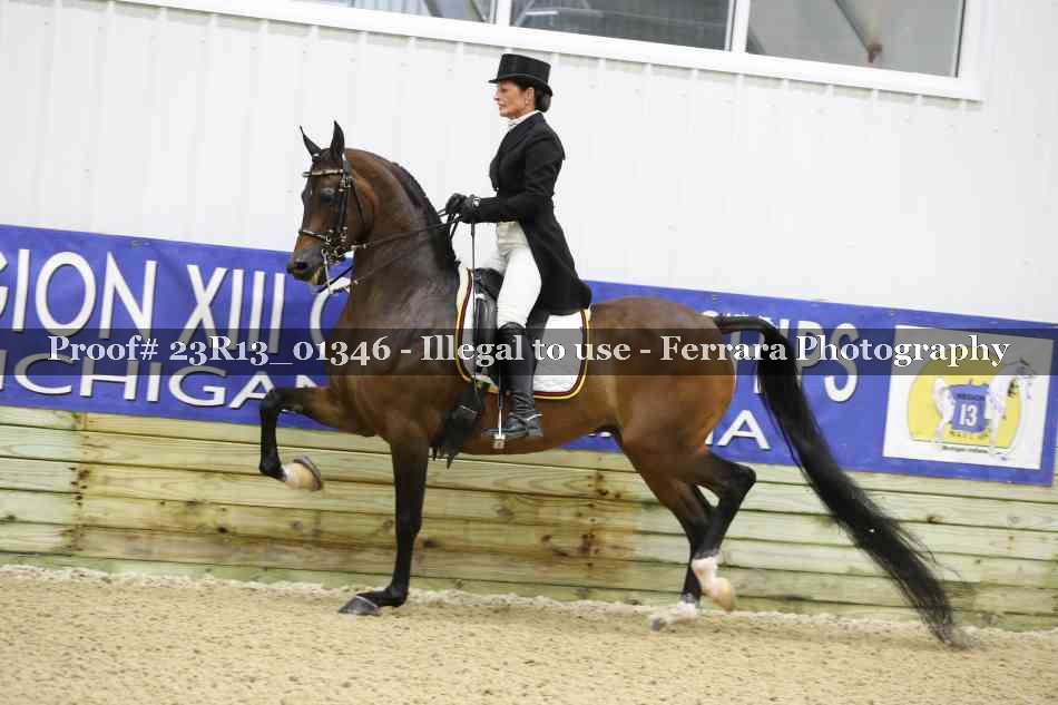 Proof 23R13_01346
