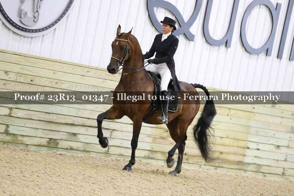 Proof 23R13_01347