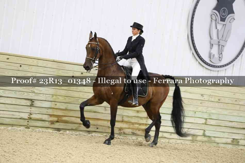 Proof 23R13_01348