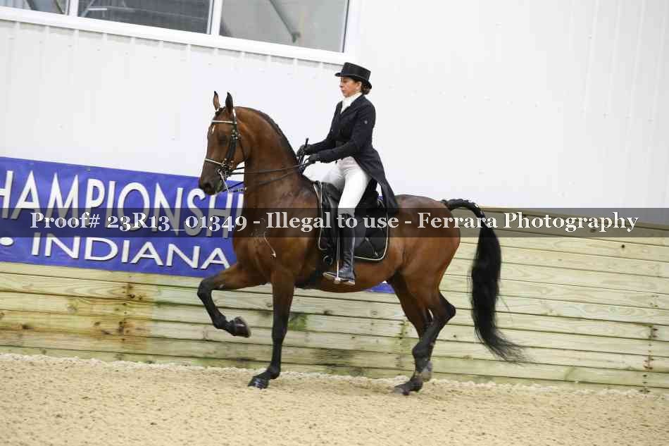 Proof 23R13_01349