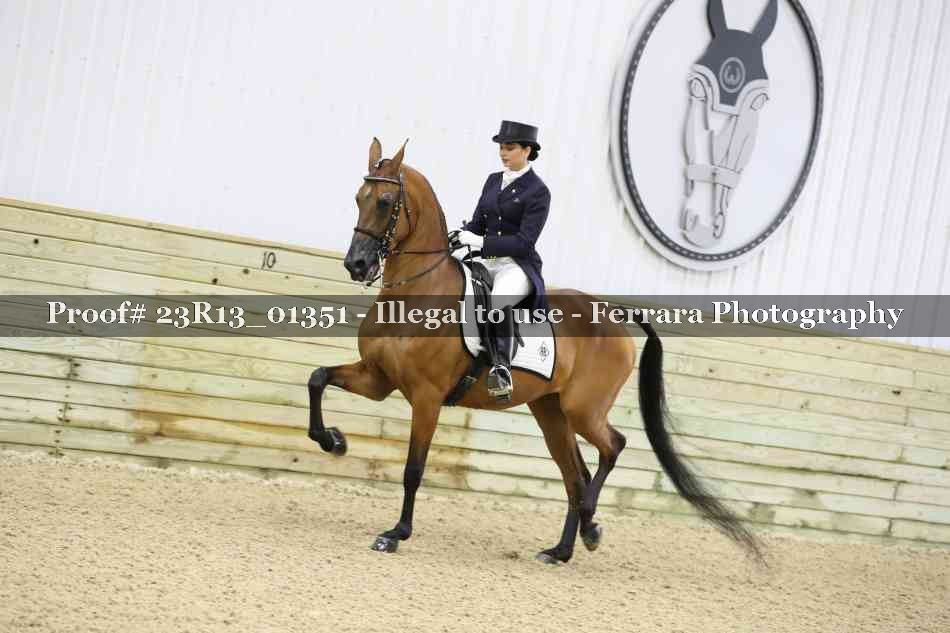 Proof 23R13_01351