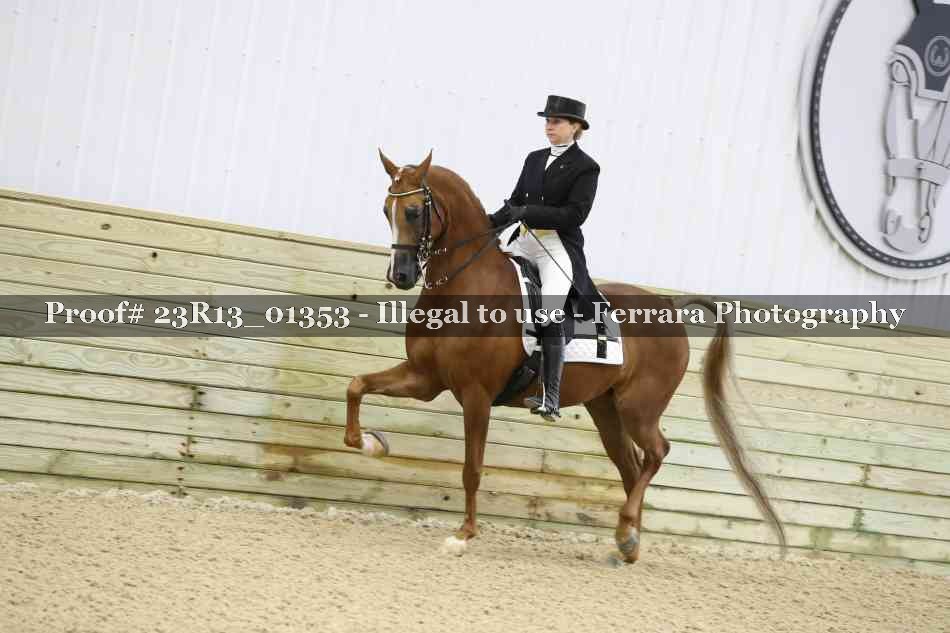 Proof 23R13_01353