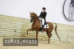 23R13_01353 proof