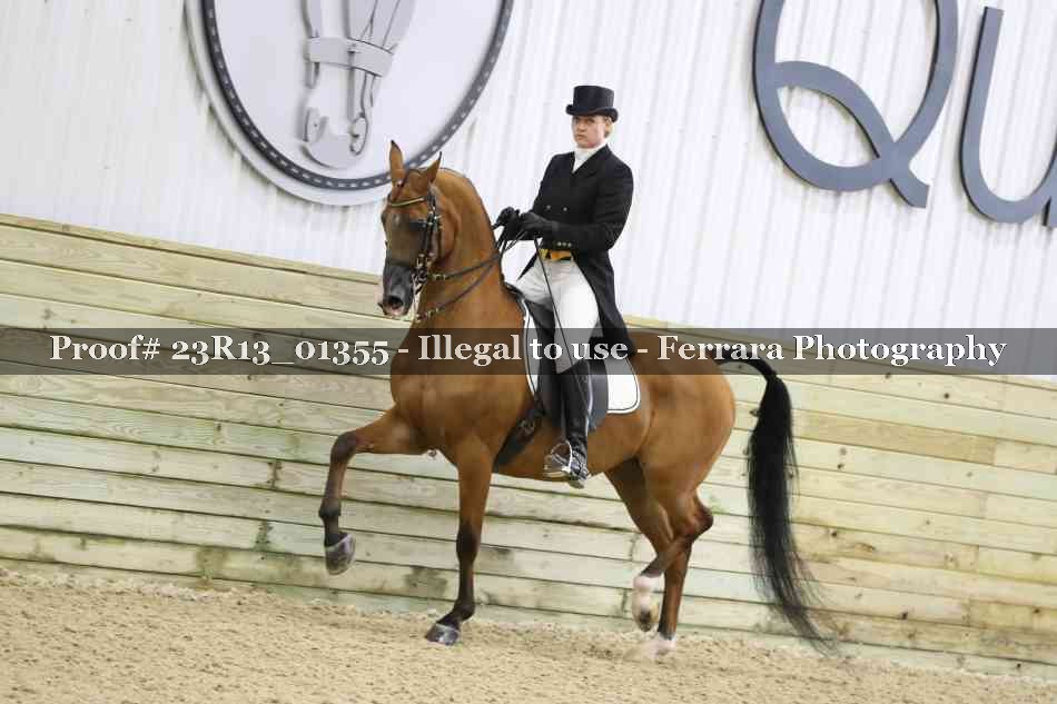 Proof 23R13_01355