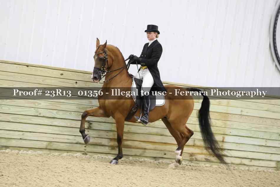 Proof 23R13_01356