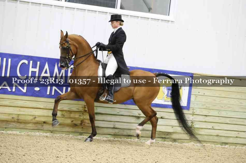 Proof 23R13_01357