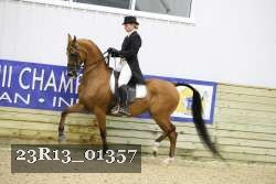 23R13_01357 proof
