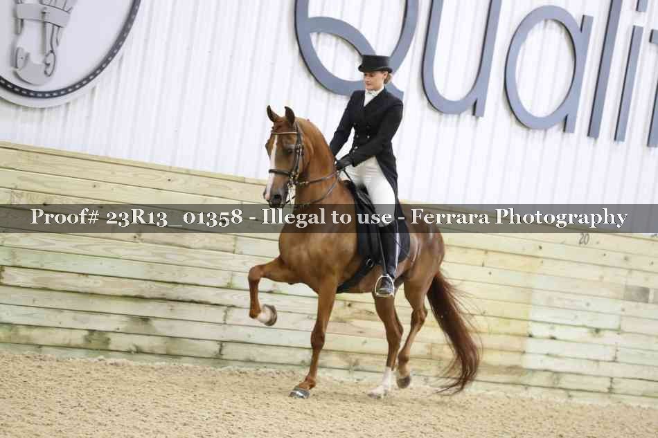 Proof 23R13_01358