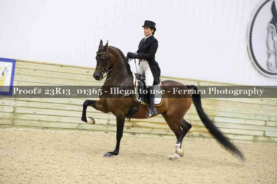 Proof 23R13_01365