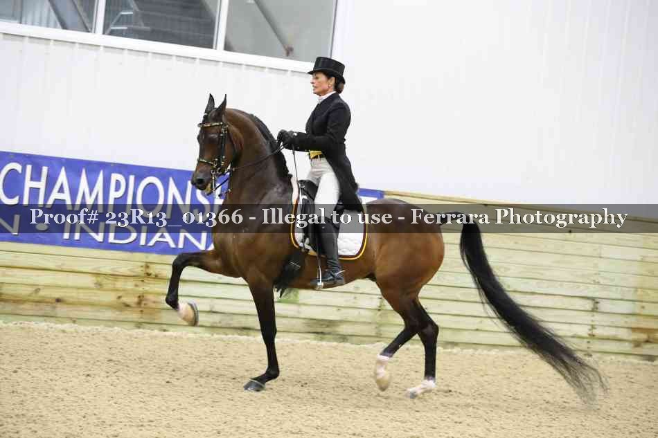 Proof 23R13_01366