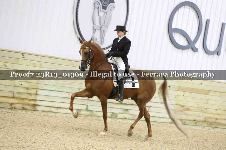 Proof 23R13_01369
