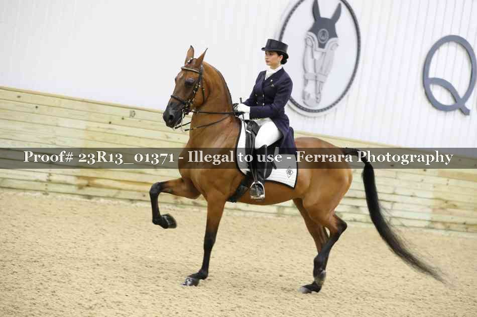 Proof 23R13_01371