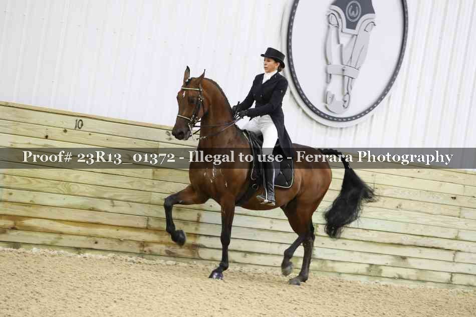 Proof 23R13_01372