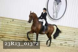 23R13_01372 proof