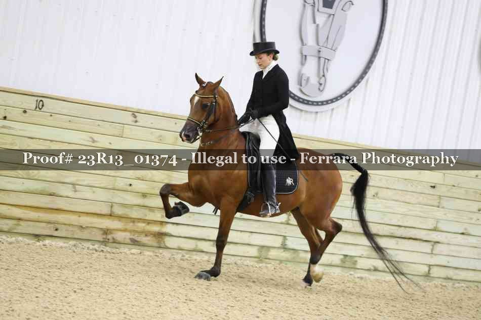 Proof 23R13_01374