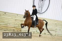 23R13_01374 proof
