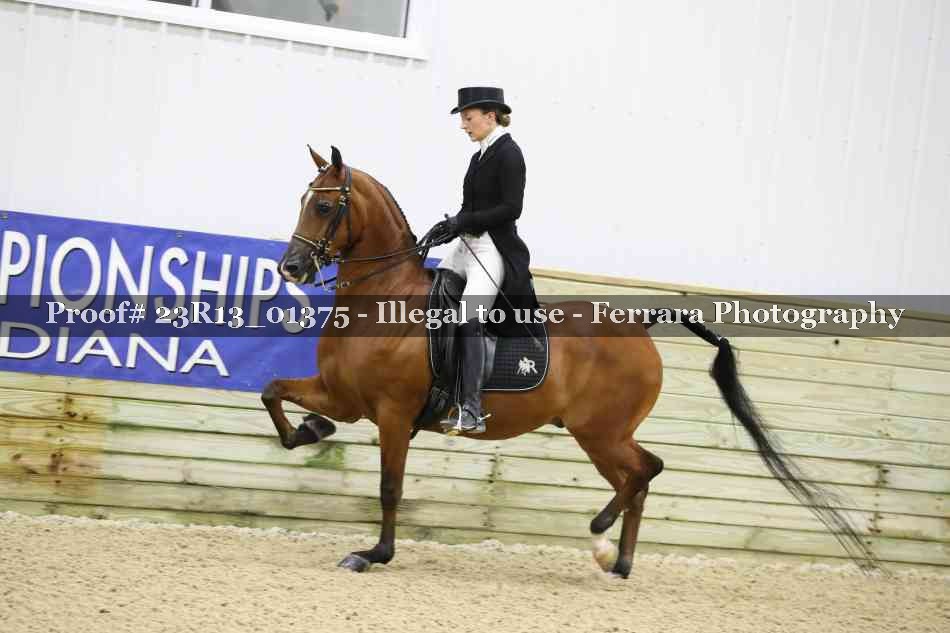 Proof 23R13_01375