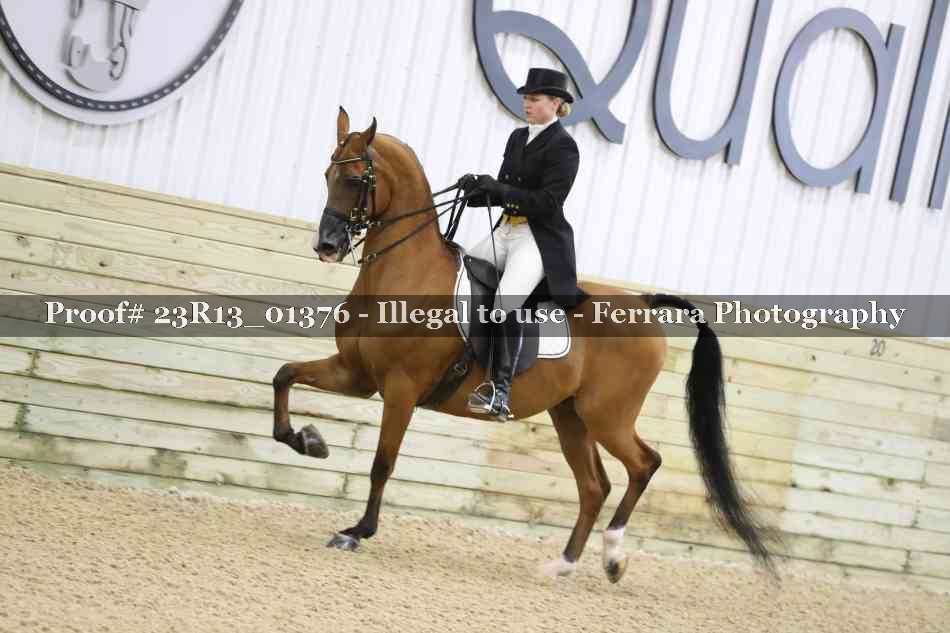 Proof 23R13_01376