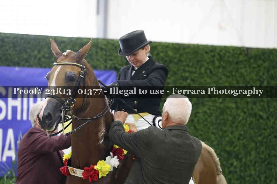 Proof 23R13_01377