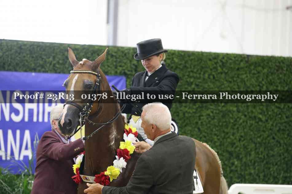 Proof 23R13_01378