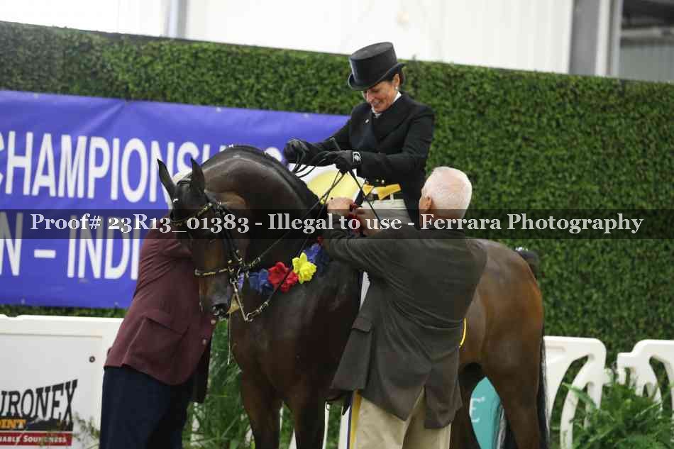 Proof 23R13_01383