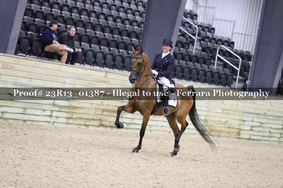 Proof 23R13_01387