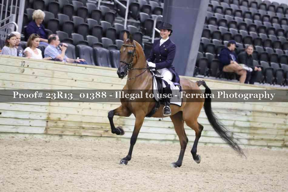 Proof 23R13_01388