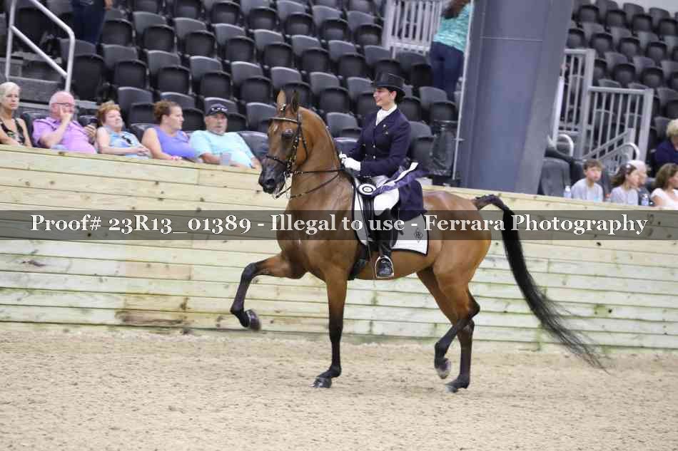Proof 23R13_01389