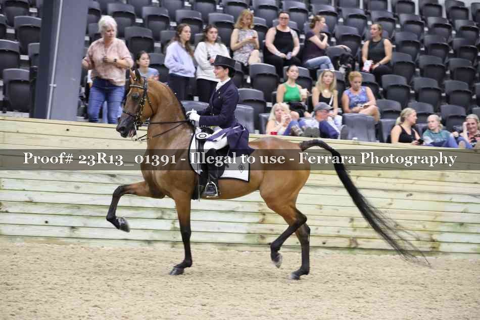 Proof 23R13_01391