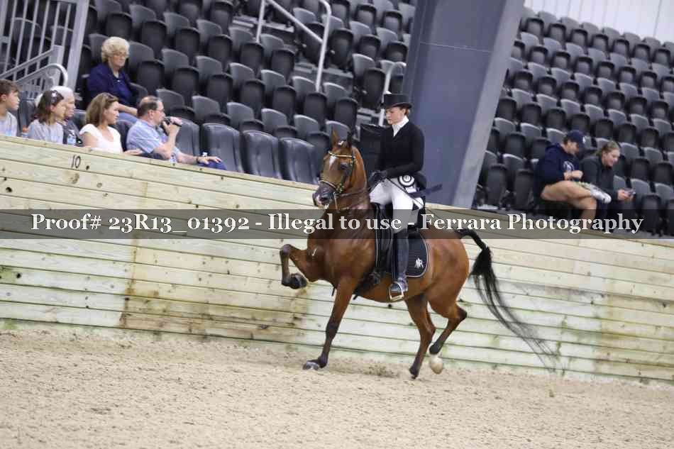 Proof 23R13_01392