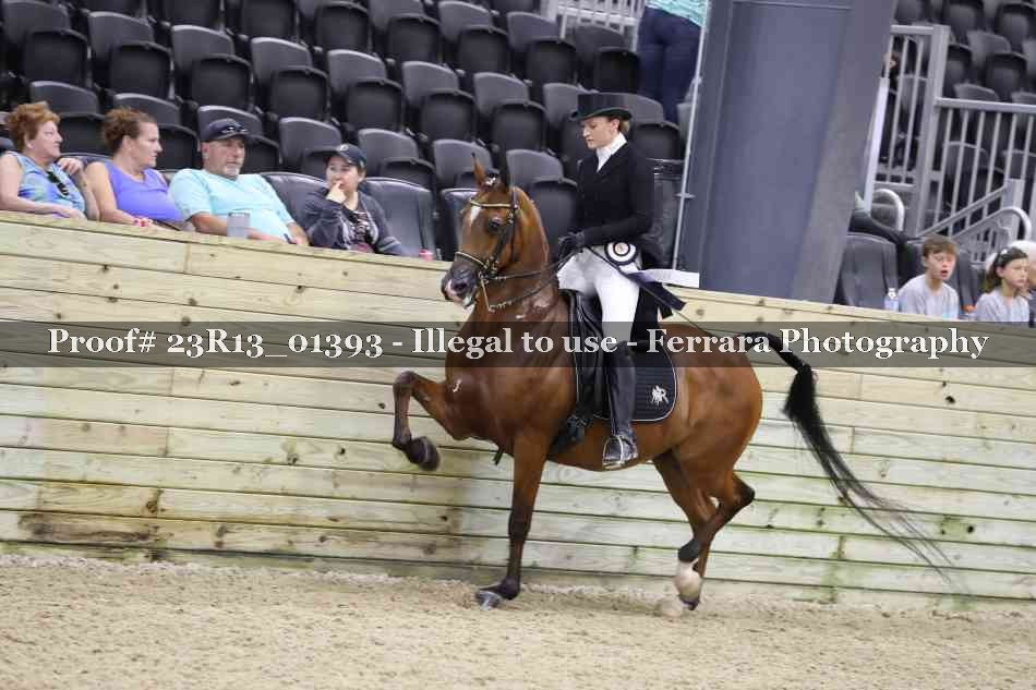 Proof 23R13_01393