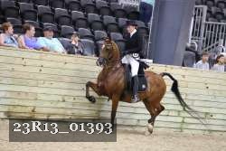 23R13_01393 proof