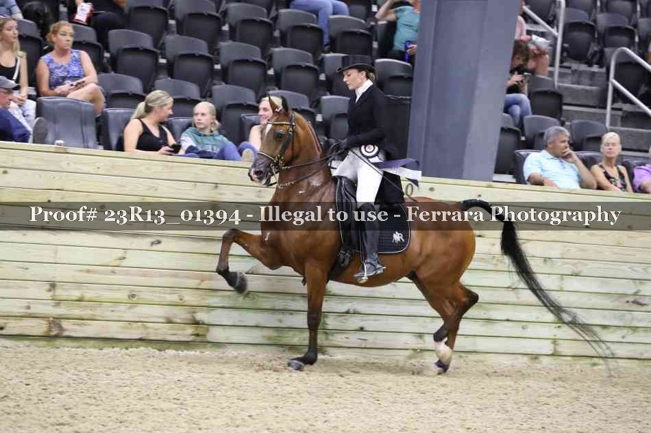 Proof 23R13_01394