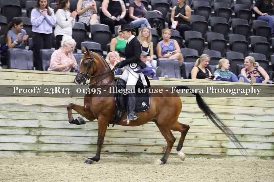 Proof 23R13_01395