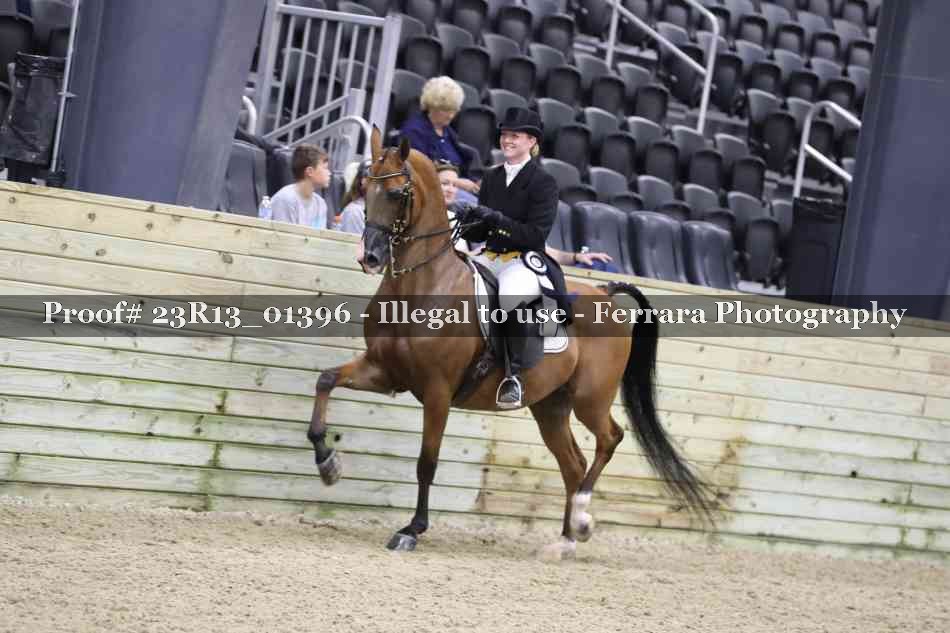 Proof 23R13_01396