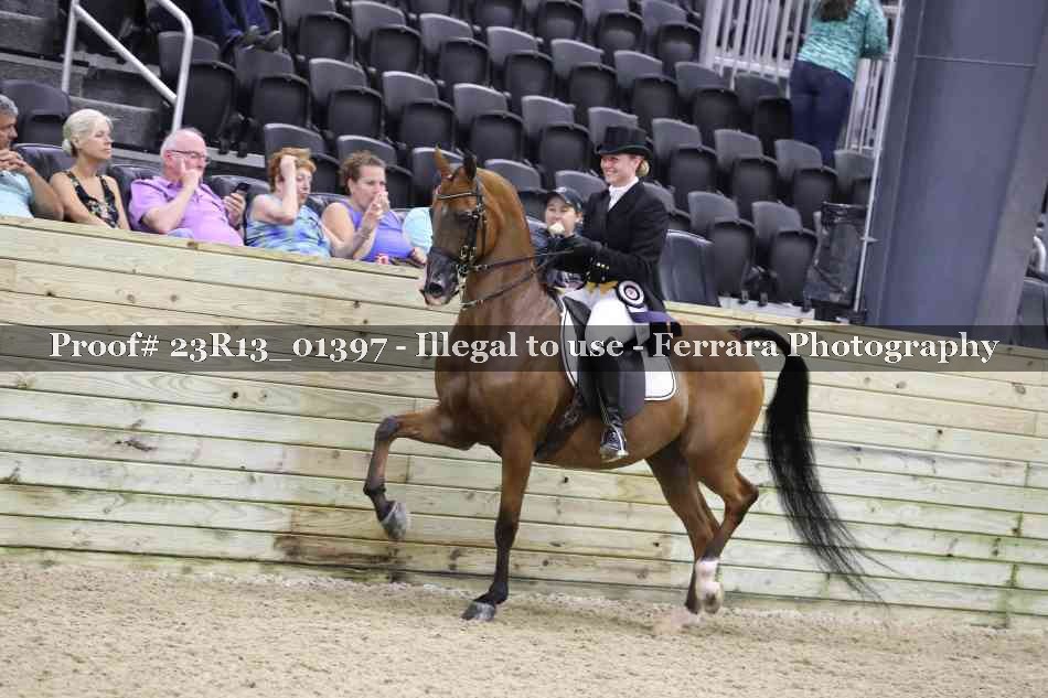 Proof 23R13_01397