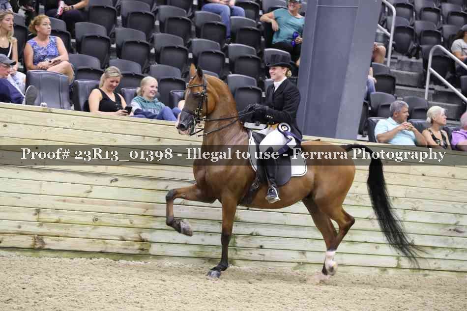 Proof 23R13_01398
