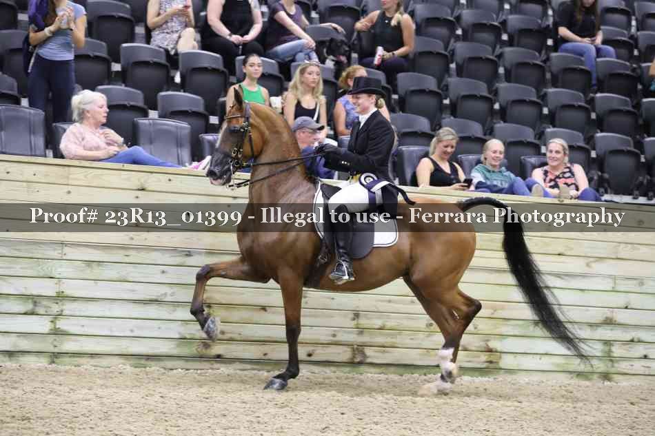 Proof 23R13_01399