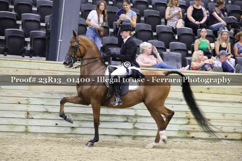 Proof 23R13_01400