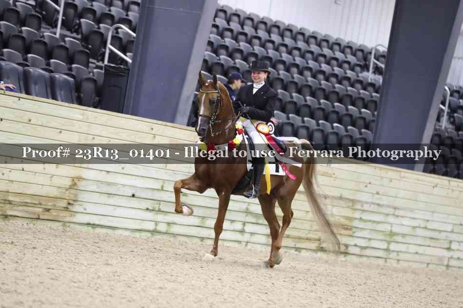Proof 23R13_01401