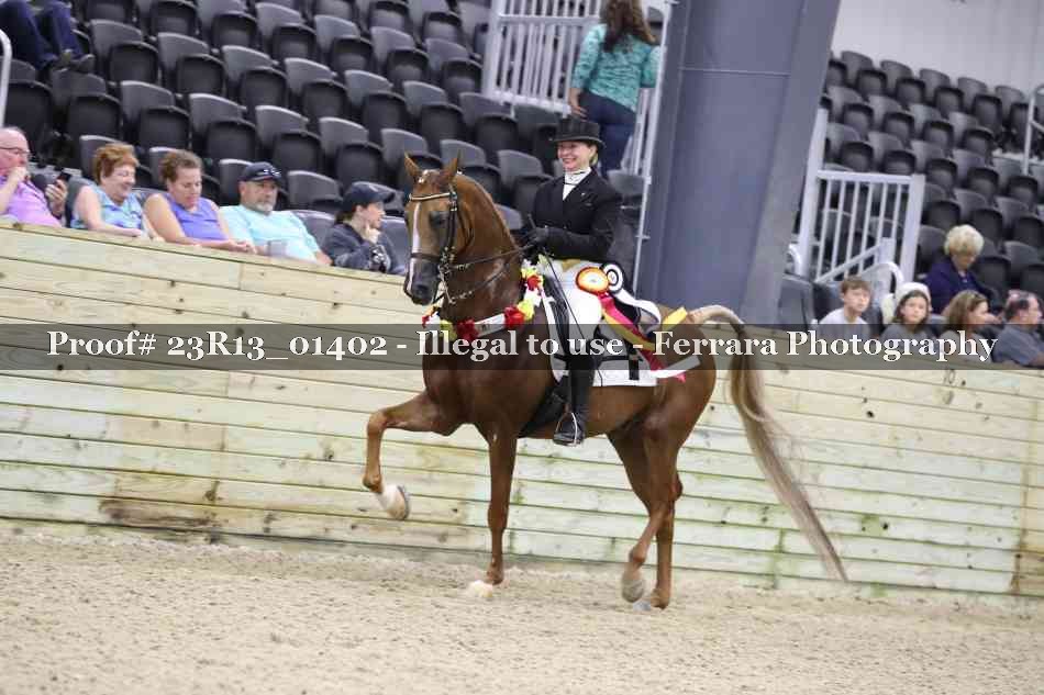Proof 23R13_01402