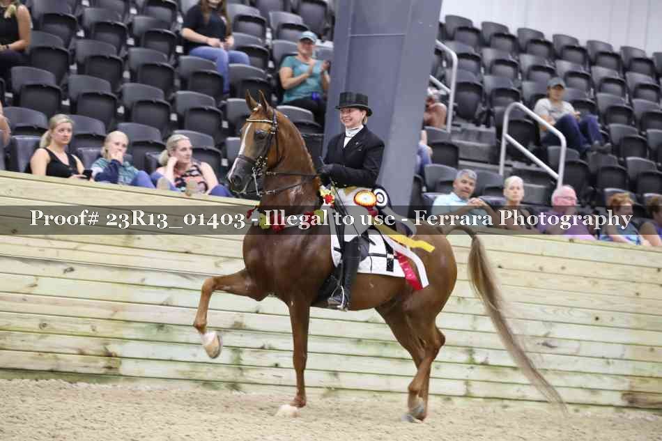 Proof 23R13_01403