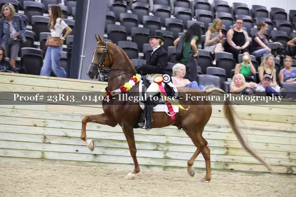 Proof 23R13_01404