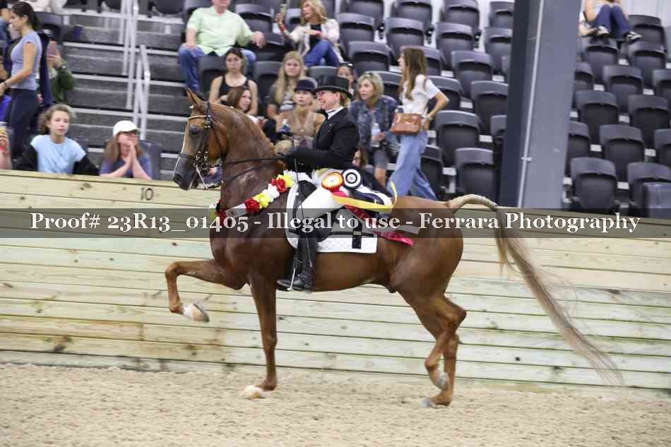 Proof 23R13_01405