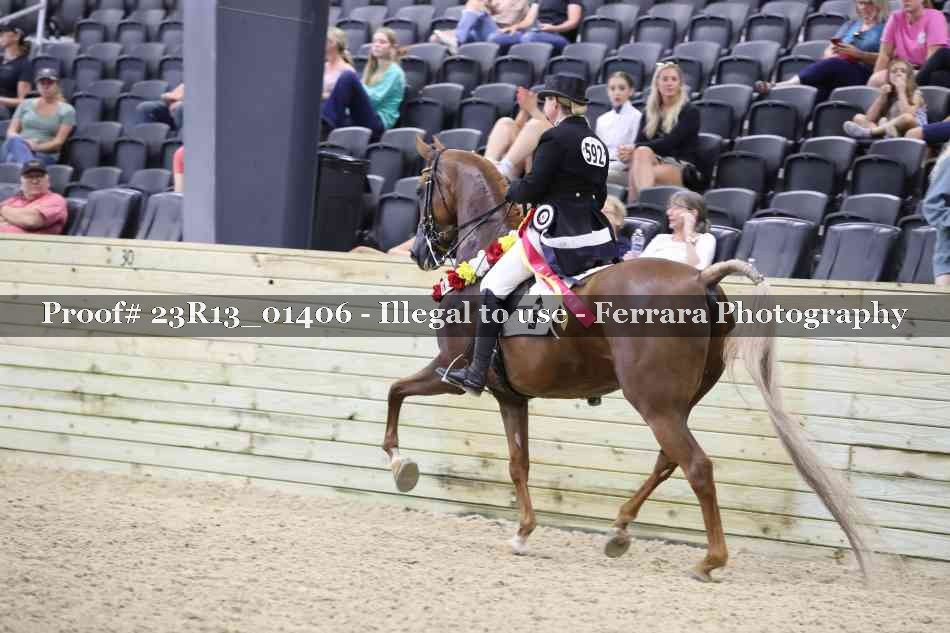 Proof 23R13_01406