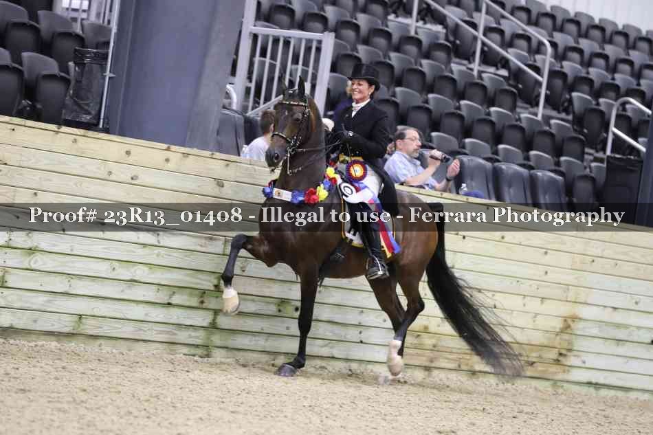 Proof 23R13_01408