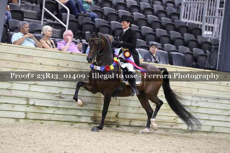 Proof 23R13_01409