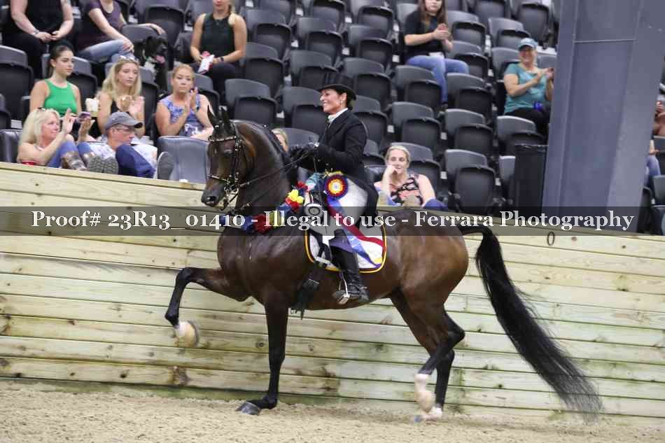 Proof 23R13_01410
